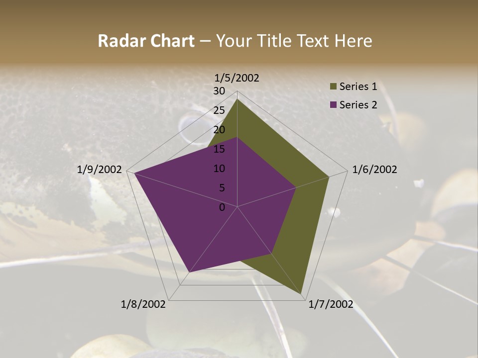 Catfish Face PowerPoint Template
