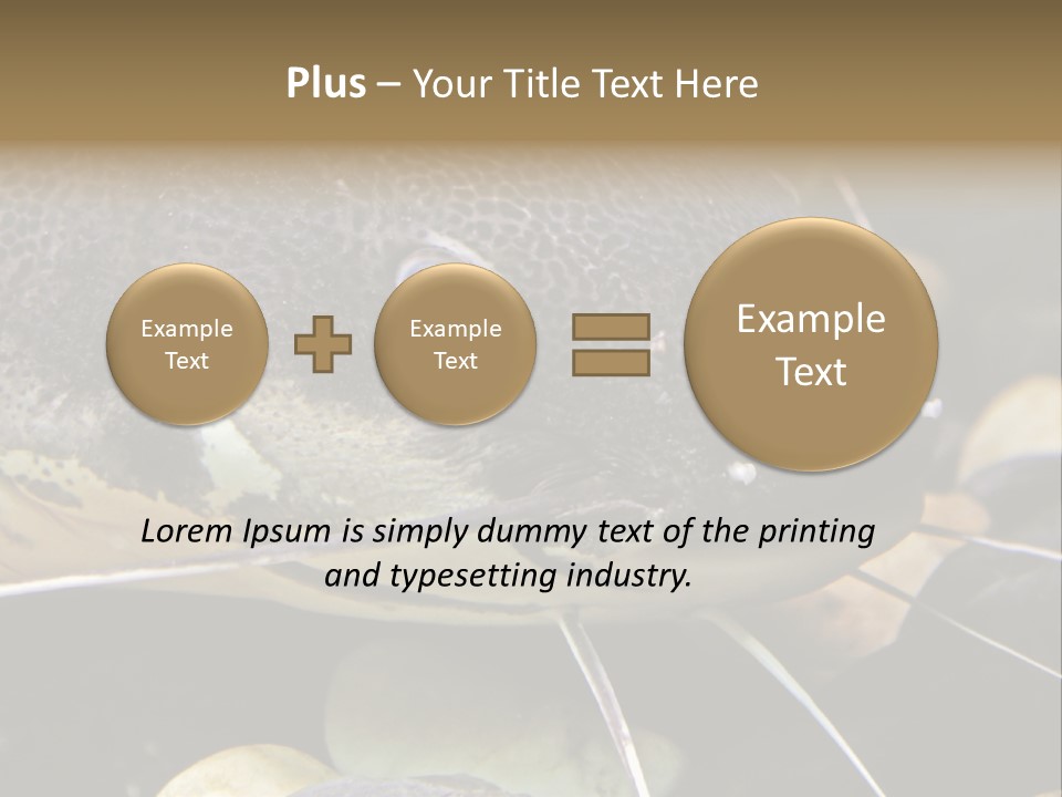 Catfish Face PowerPoint Template