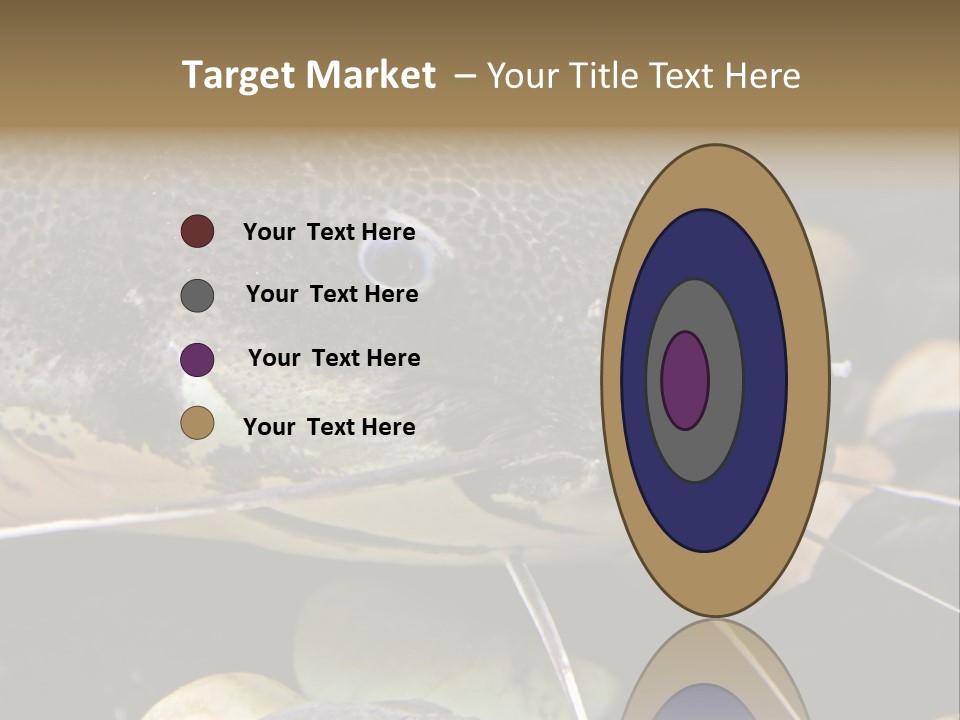 Catfish Face PowerPoint Template