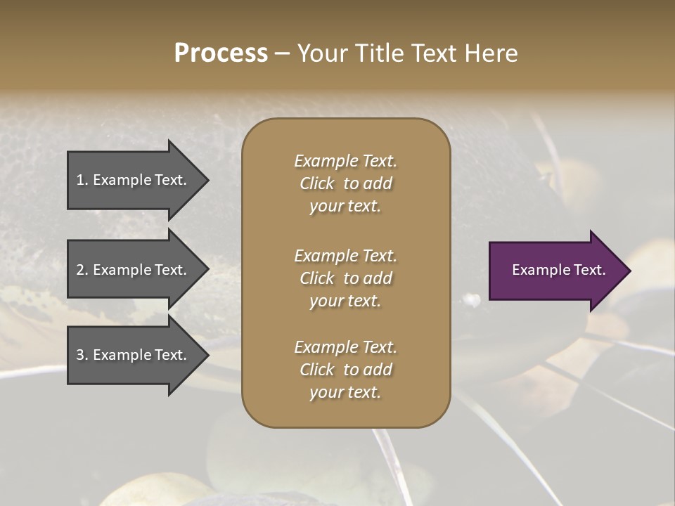 Catfish Face PowerPoint Template