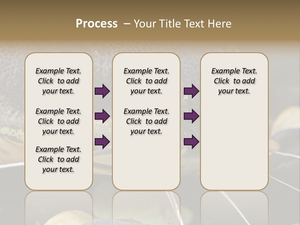Catfish Face PowerPoint Template