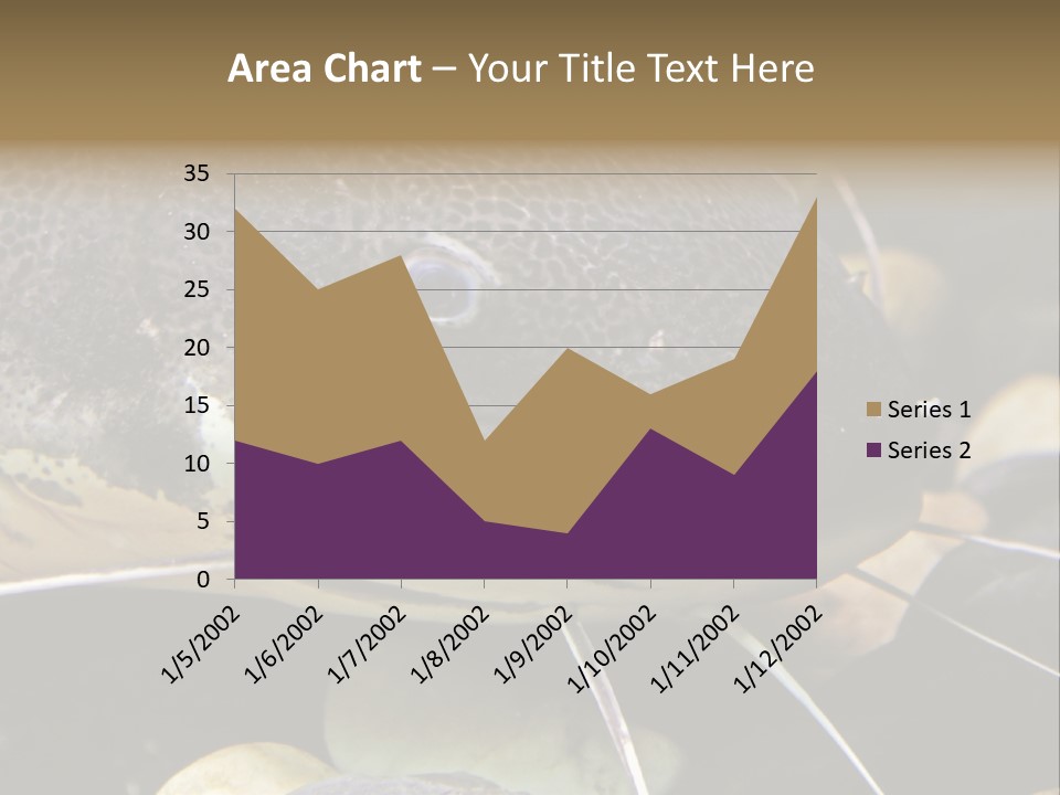 Catfish Face PowerPoint Template