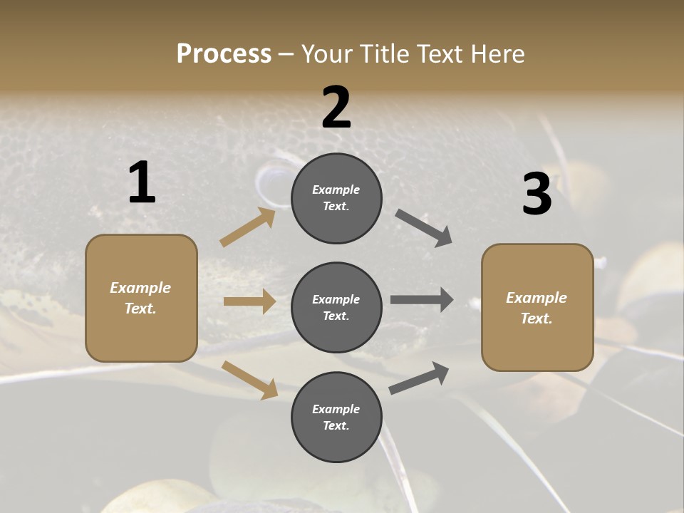 Catfish Face PowerPoint Template
