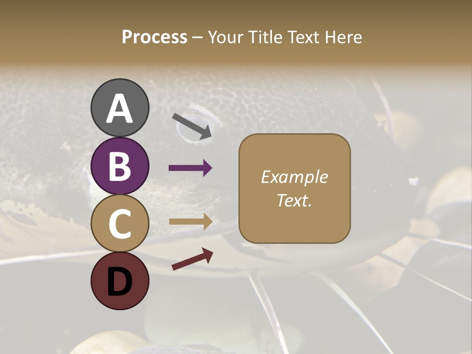 Catfish Face PowerPoint Template