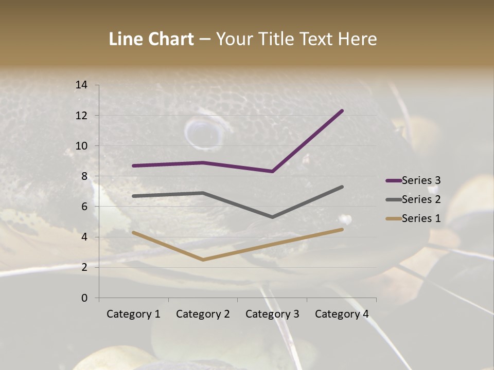 Catfish Face PowerPoint Template