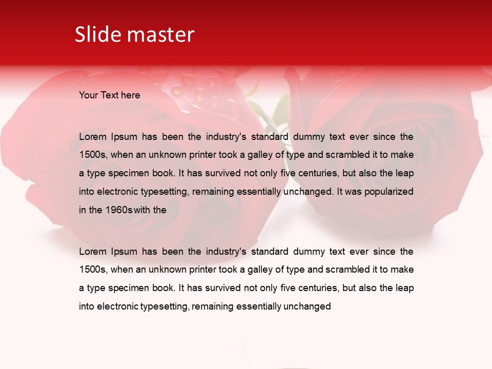 Wedding Concept With Roses And Rings- Many Similar Photos In My Portfolio PowerPoint Template