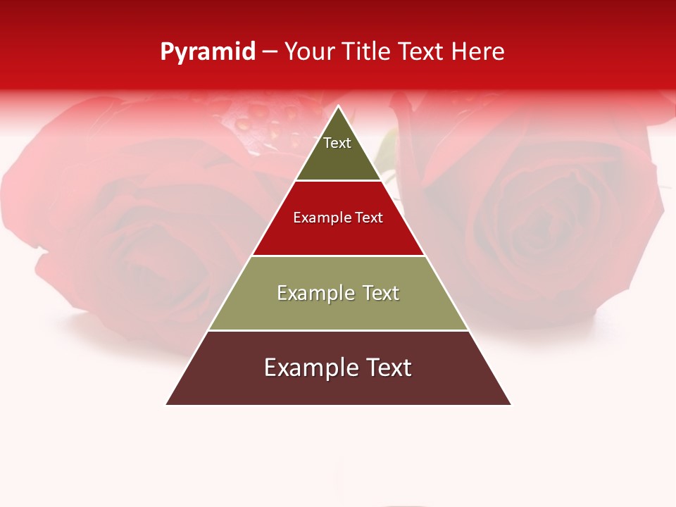 Wedding Concept With Roses And Rings- Many Similar Photos In My Portfolio PowerPoint Template