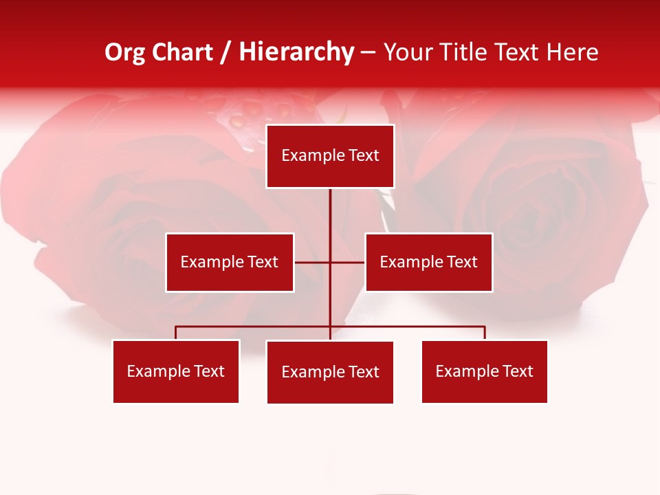 Wedding Concept With Roses And Rings- Many Similar Photos In My Portfolio PowerPoint Template