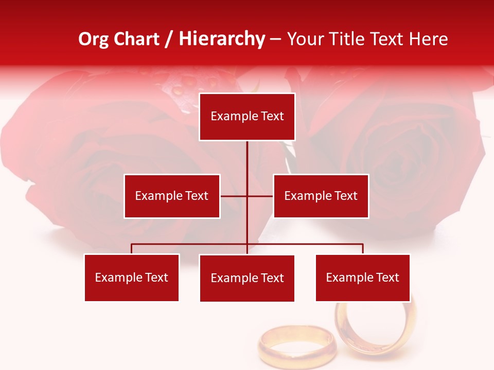 Single Elegance Celebration PowerPoint Template