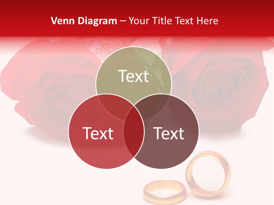 Single Elegance Celebration PowerPoint Template