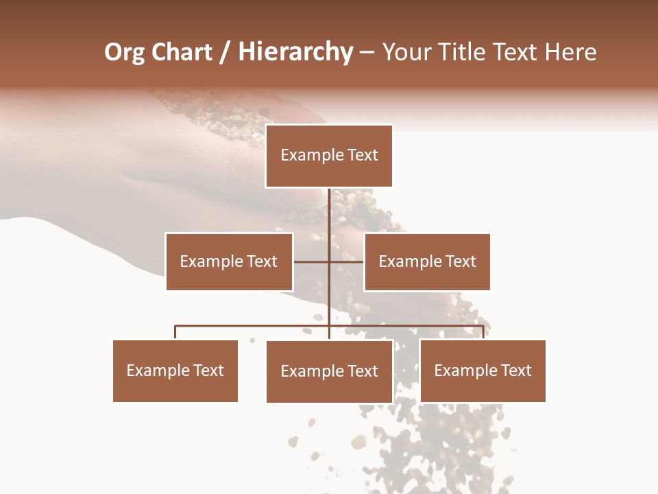 Herbs On White Background Isolated PowerPoint Template