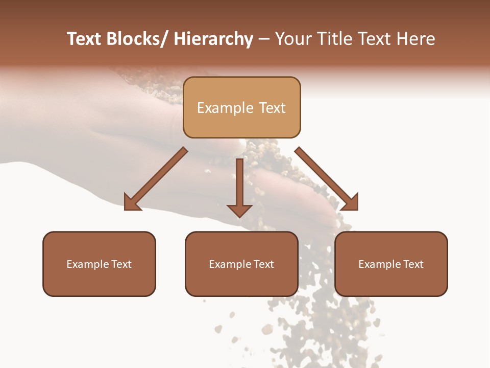 Herbs On White Background Isolated PowerPoint Template