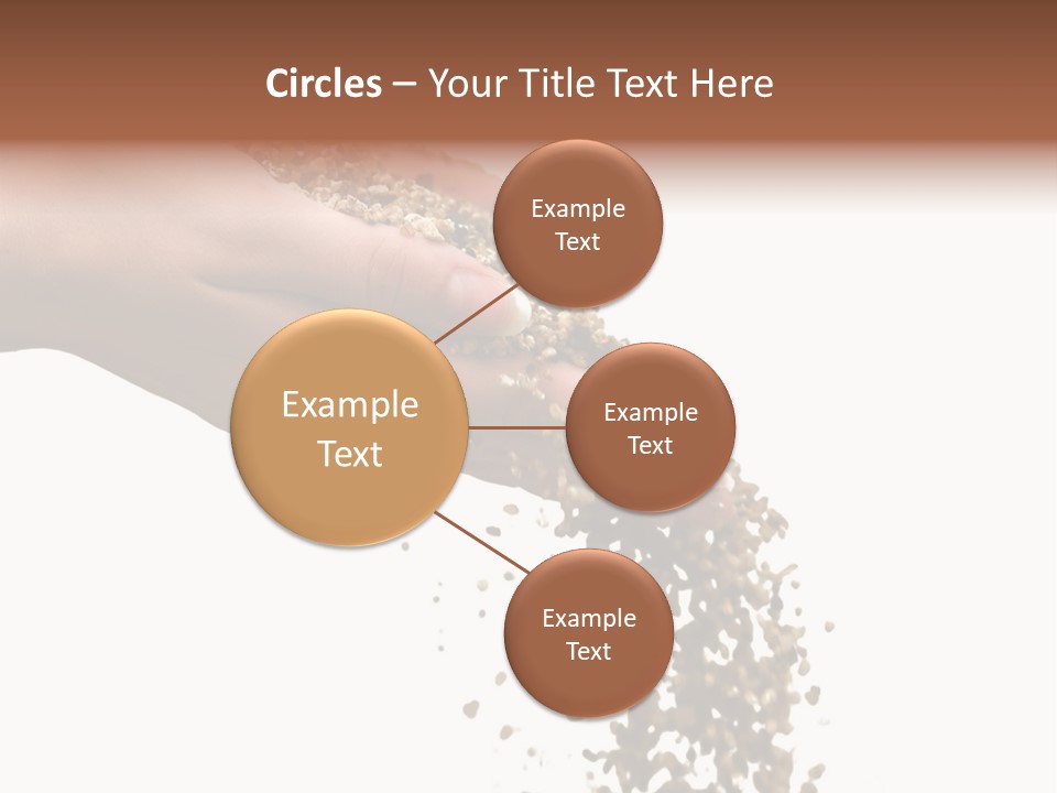 Herbs On White Background Isolated PowerPoint Template