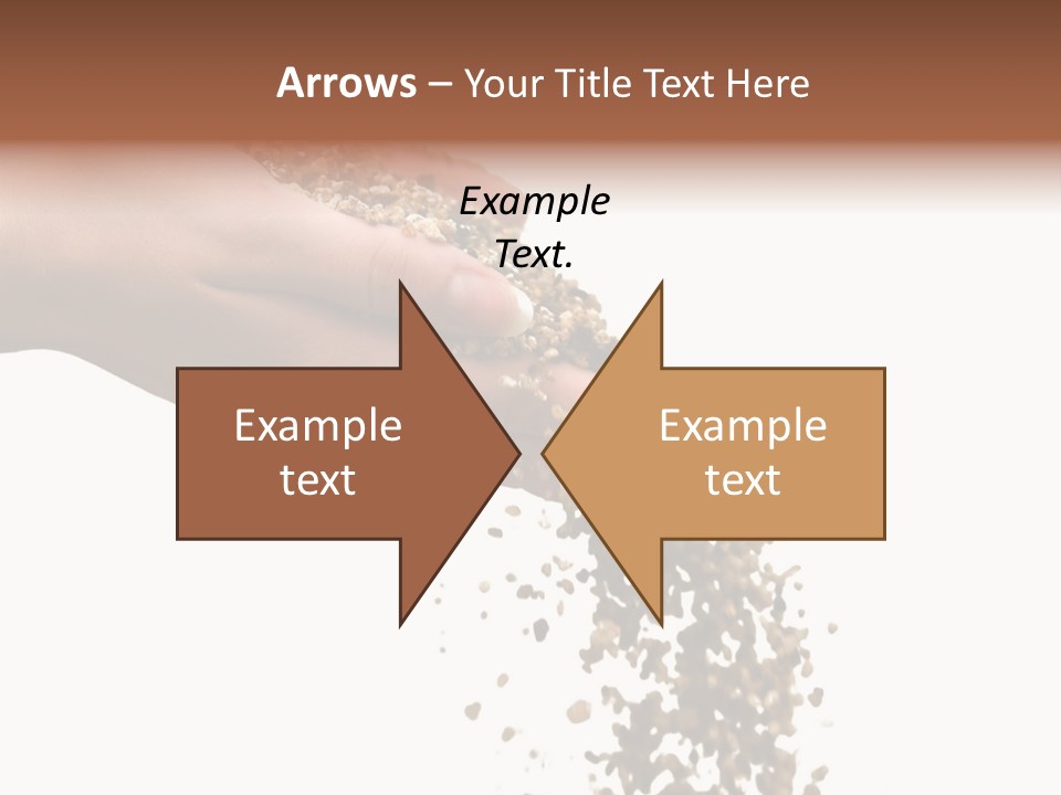 Herbs On White Background Isolated PowerPoint Template