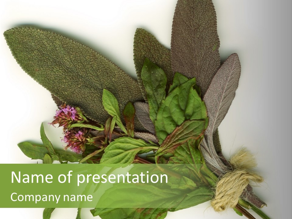 Herbs On White Background Isolated PowerPoint Template