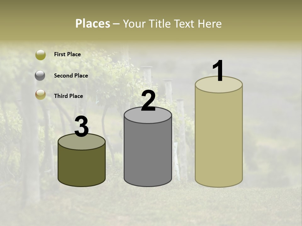 Closeup View Of A Grape Vine PowerPoint Template