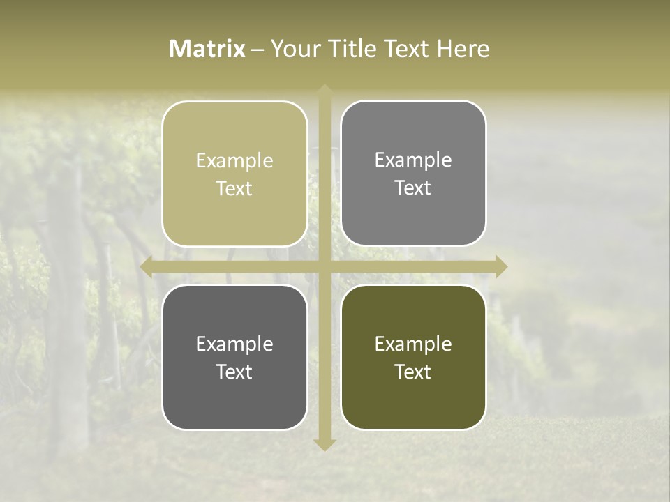 Closeup View Of A Grape Vine PowerPoint Template