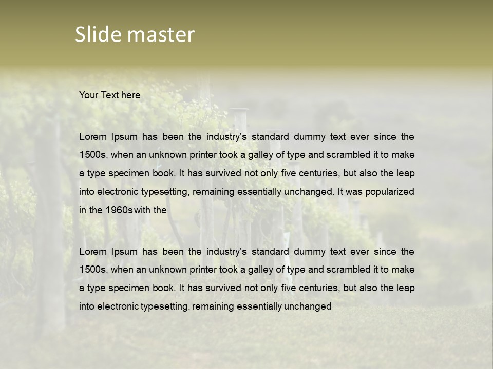Closeup View Of A Grape Vine PowerPoint Template