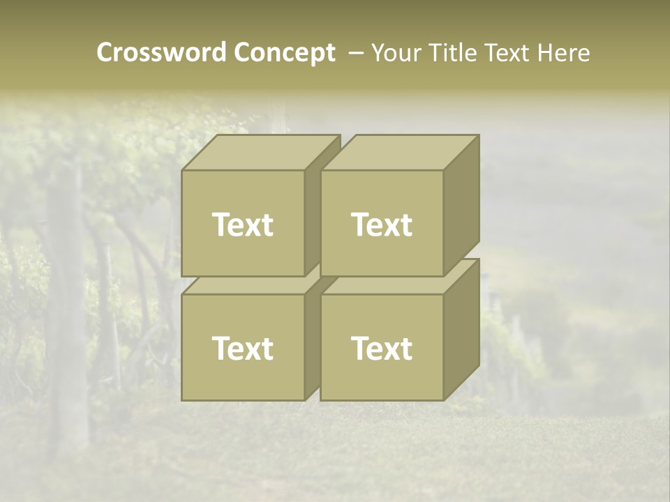 Closeup View Of A Grape Vine PowerPoint Template