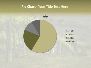 Closeup View Of A Grape Vine PowerPoint Template