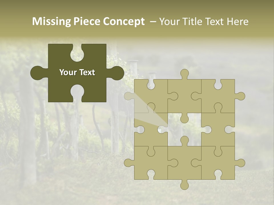 Closeup View Of A Grape Vine PowerPoint Template