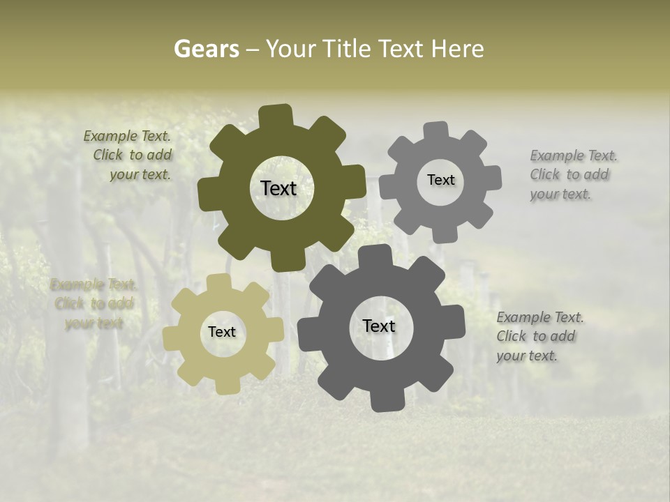 Closeup View Of A Grape Vine PowerPoint Template