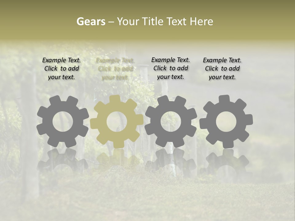 Closeup View Of A Grape Vine PowerPoint Template