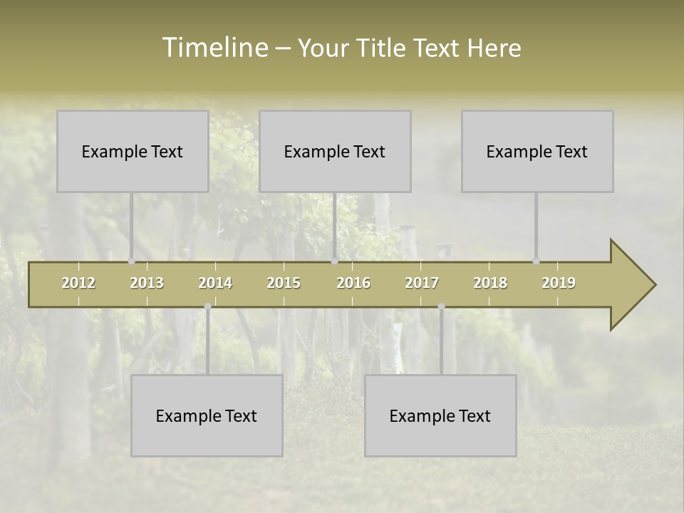 Closeup View Of A Grape Vine PowerPoint Template