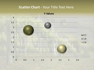 Closeup View Of A Grape Vine PowerPoint Template