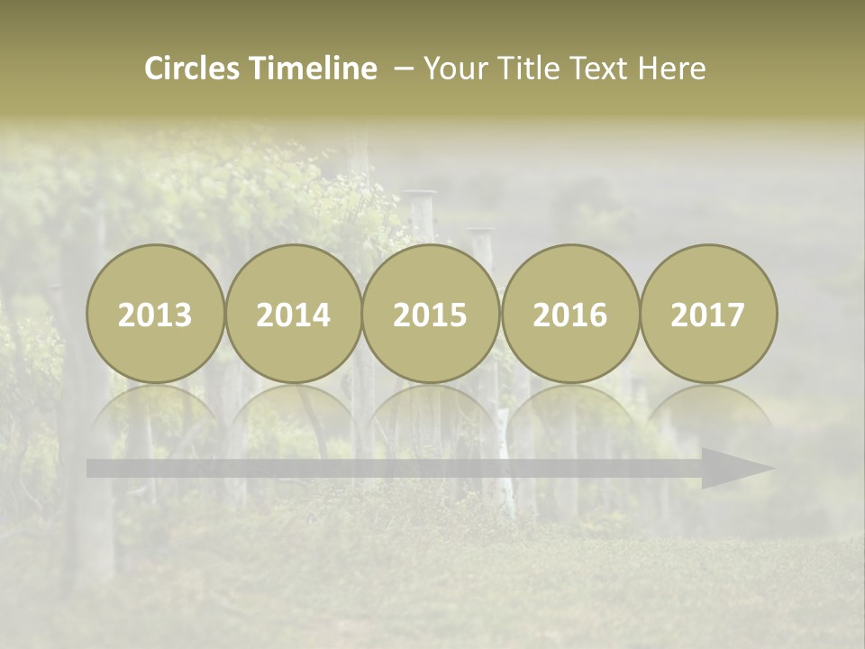 Closeup View Of A Grape Vine PowerPoint Template