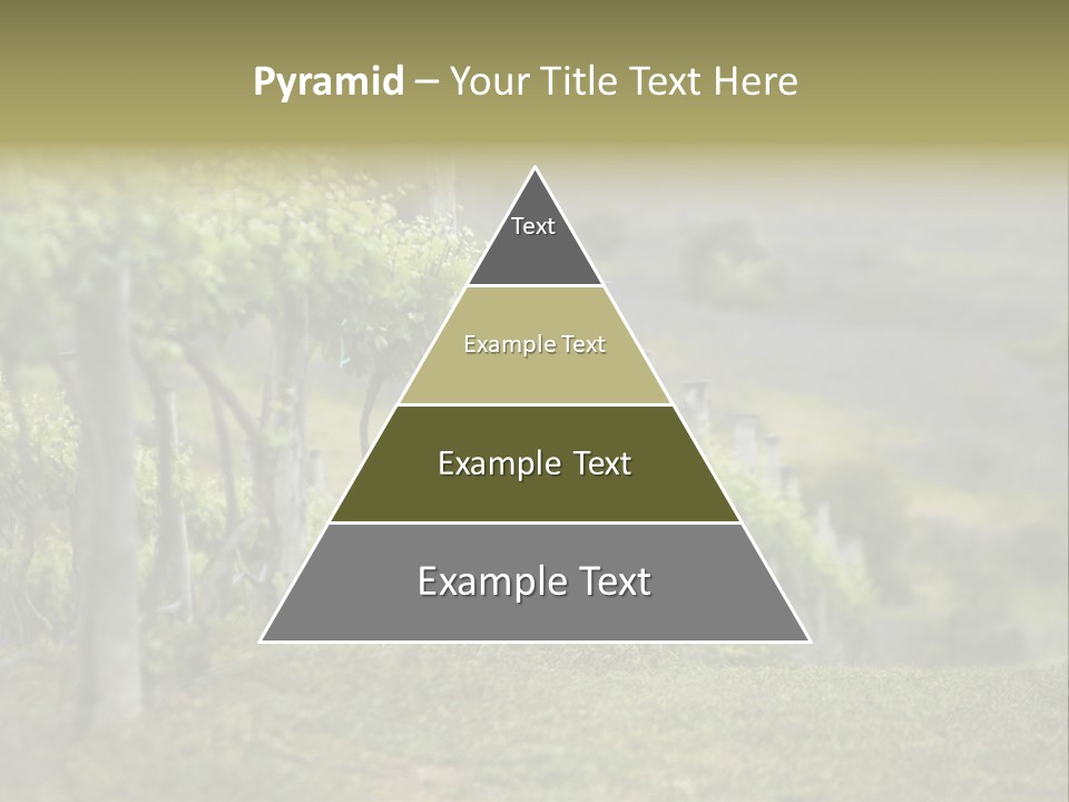 Closeup View Of A Grape Vine PowerPoint Template