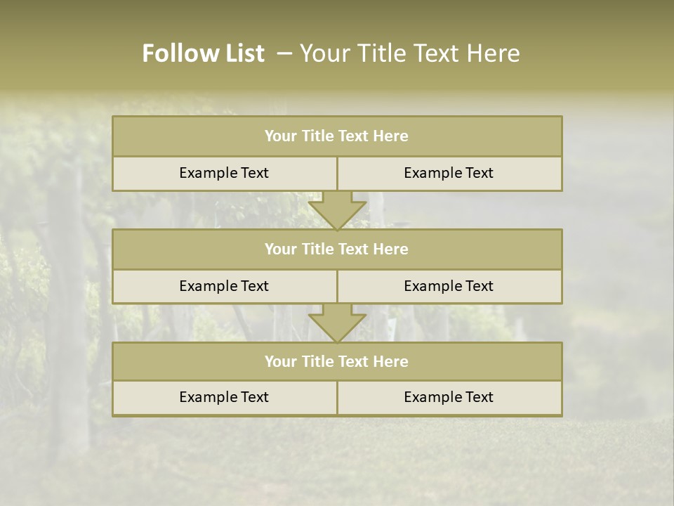 Closeup View Of A Grape Vine PowerPoint Template