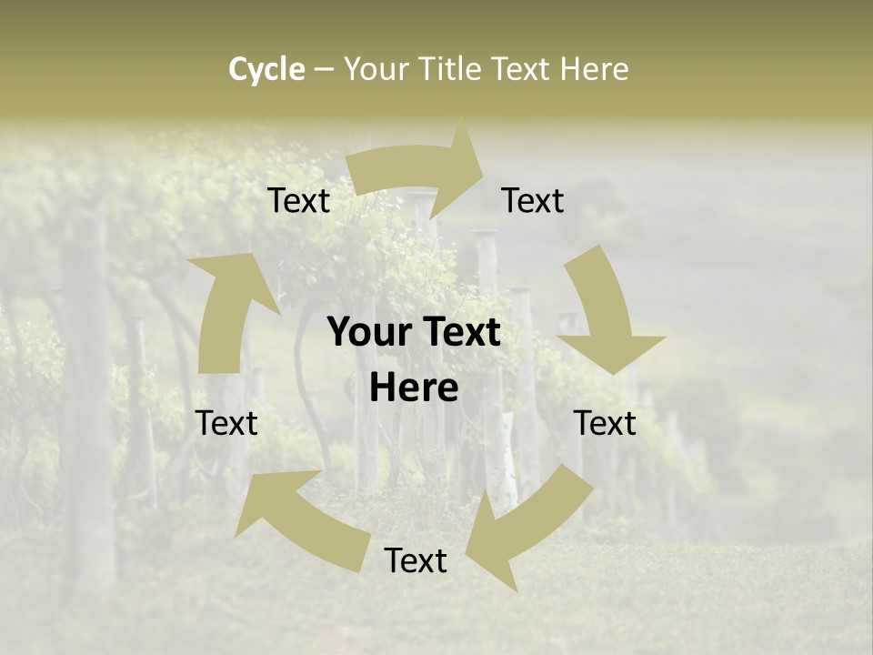 Closeup View Of A Grape Vine PowerPoint Template