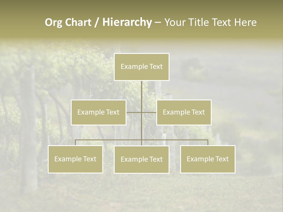 Closeup View Of A Grape Vine PowerPoint Template