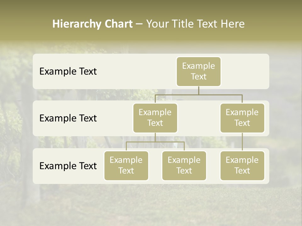Closeup View Of A Grape Vine PowerPoint Template