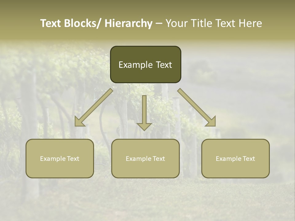 Closeup View Of A Grape Vine PowerPoint Template