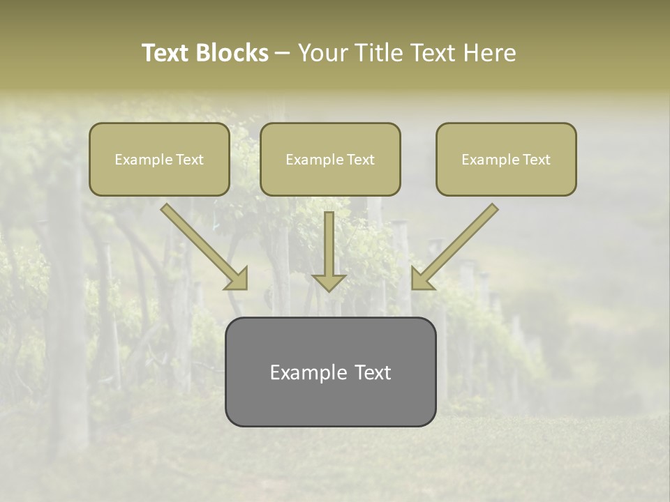 Closeup View Of A Grape Vine PowerPoint Template