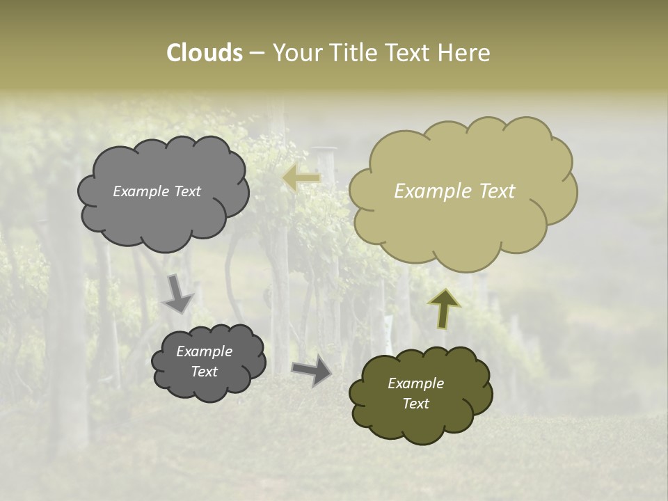Closeup View Of A Grape Vine PowerPoint Template