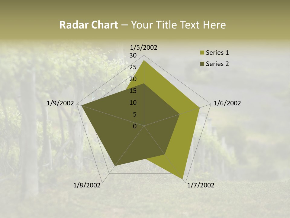 Closeup View Of A Grape Vine PowerPoint Template
