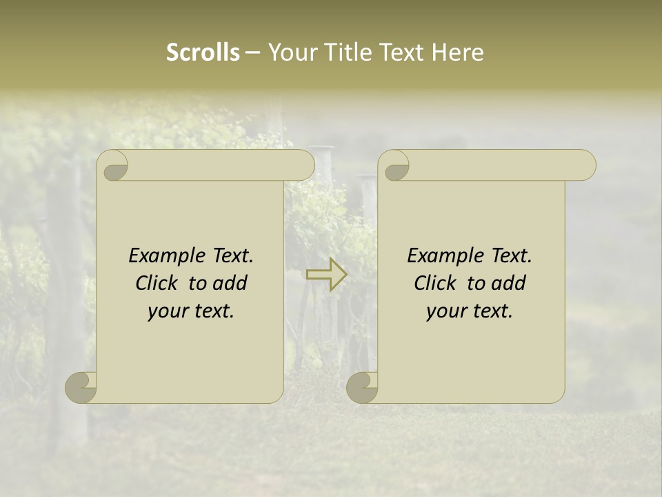 Closeup View Of A Grape Vine PowerPoint Template