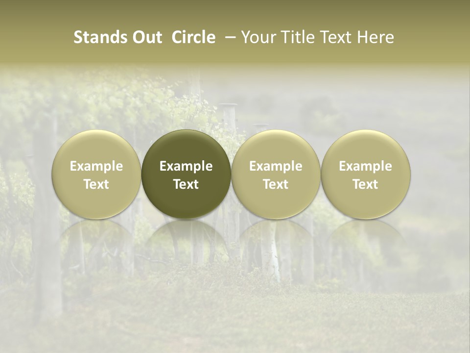 Closeup View Of A Grape Vine PowerPoint Template