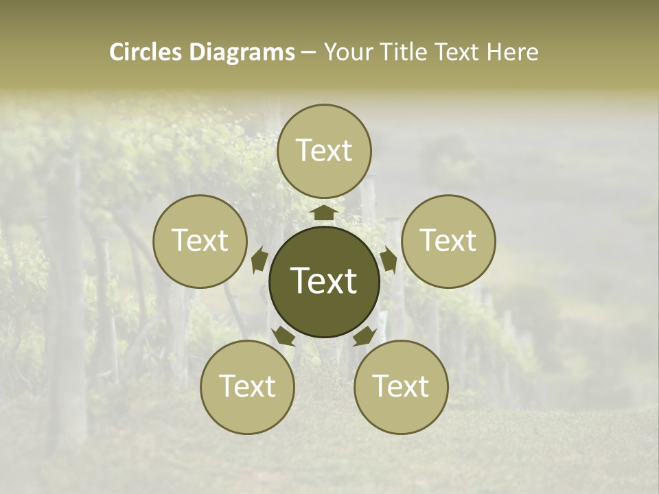 Closeup View Of A Grape Vine PowerPoint Template