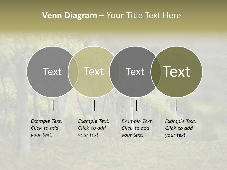 Closeup View Of A Grape Vine PowerPoint Template