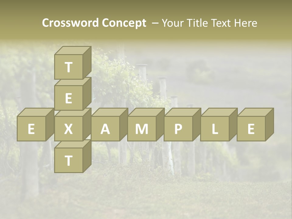 Closeup View Of A Grape Vine PowerPoint Template