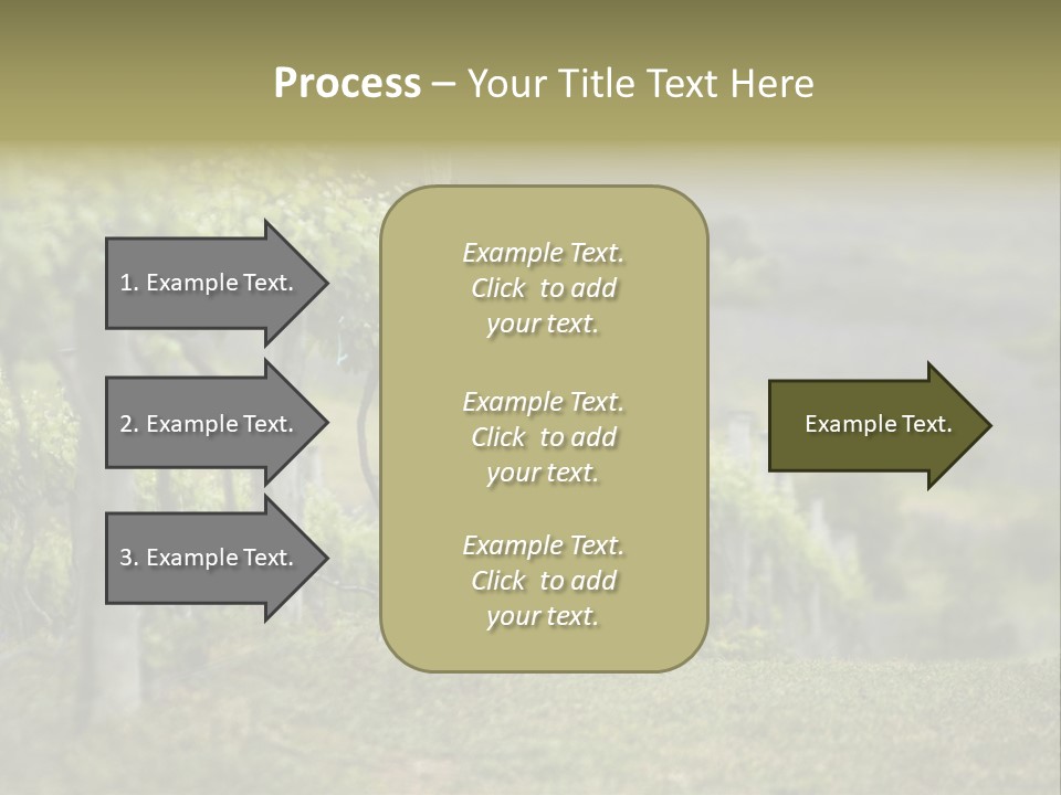 Closeup View Of A Grape Vine PowerPoint Template