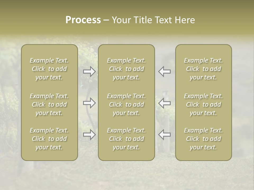 Closeup View Of A Grape Vine PowerPoint Template