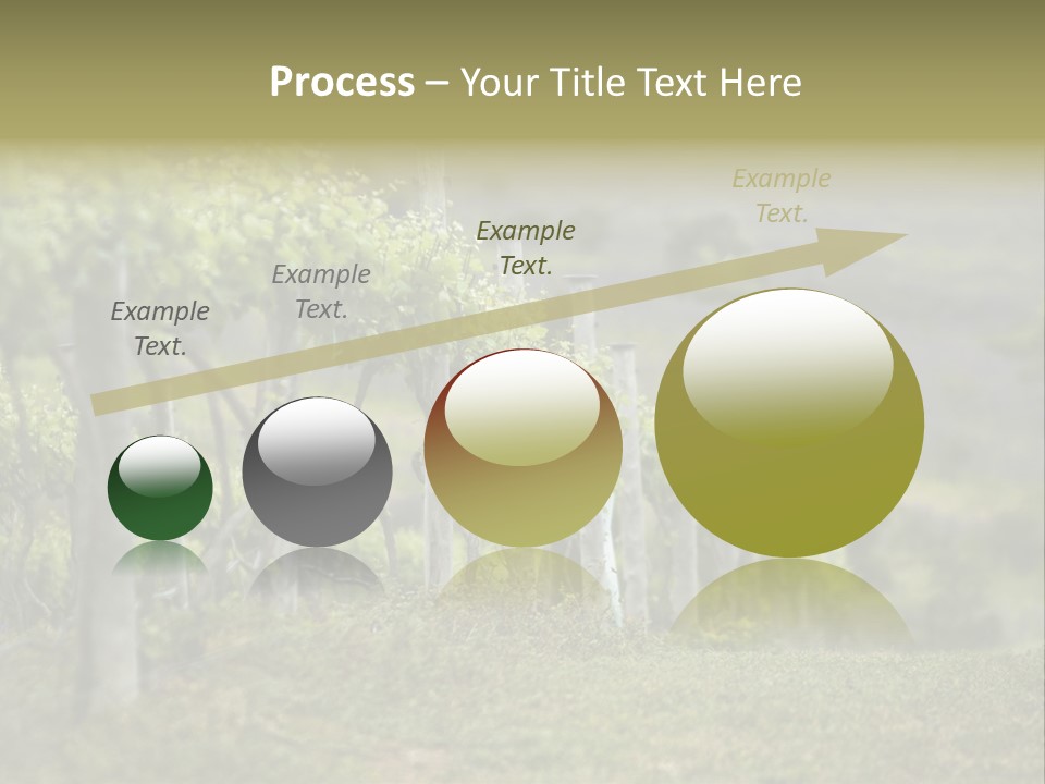 Closeup View Of A Grape Vine PowerPoint Template