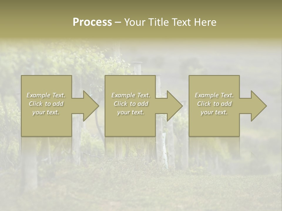 Closeup View Of A Grape Vine PowerPoint Template