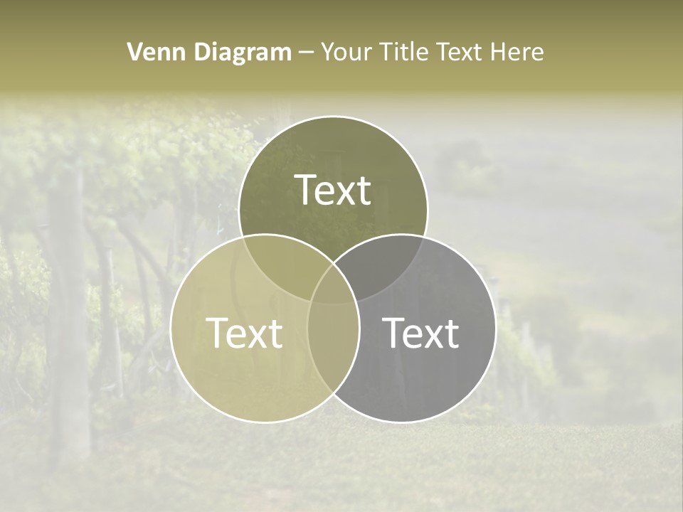 Closeup View Of A Grape Vine PowerPoint Template