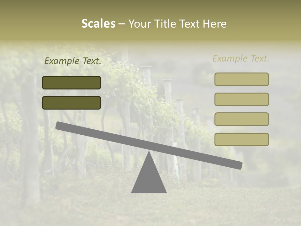 Closeup View Of A Grape Vine PowerPoint Template